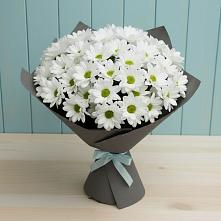 Букет цветов из:  Хризантемы #REPLACE_PRED# Кулунде