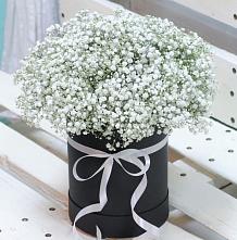 Цветочная композиция из Гипсофила в шляпной коробке в Кулунде